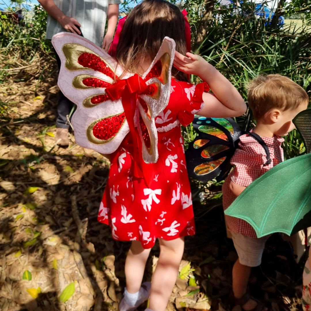 Candy Lane Butterfly