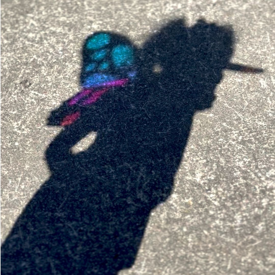 Reflections Butterfly