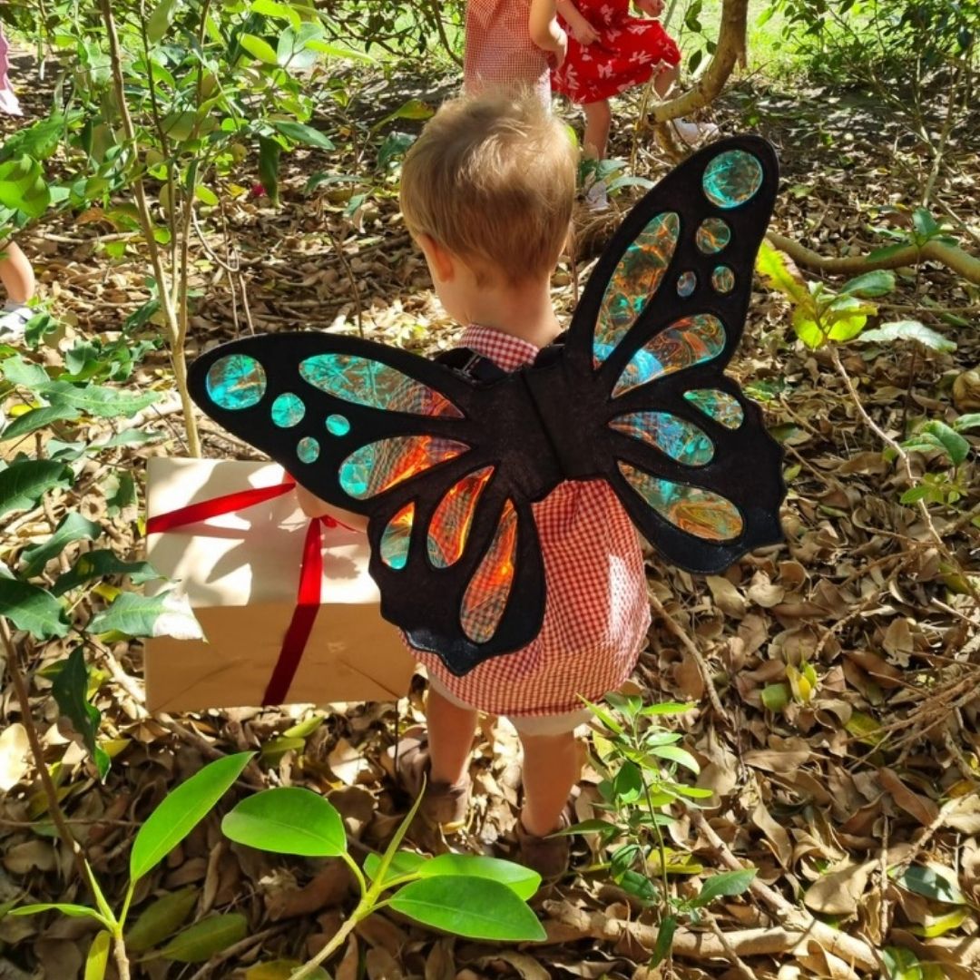 Reflections Butterfly