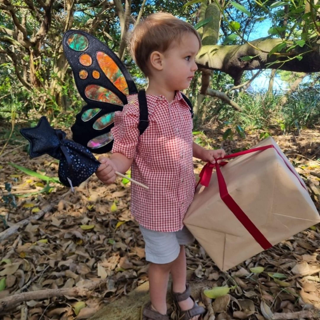 Reflections Butterfly