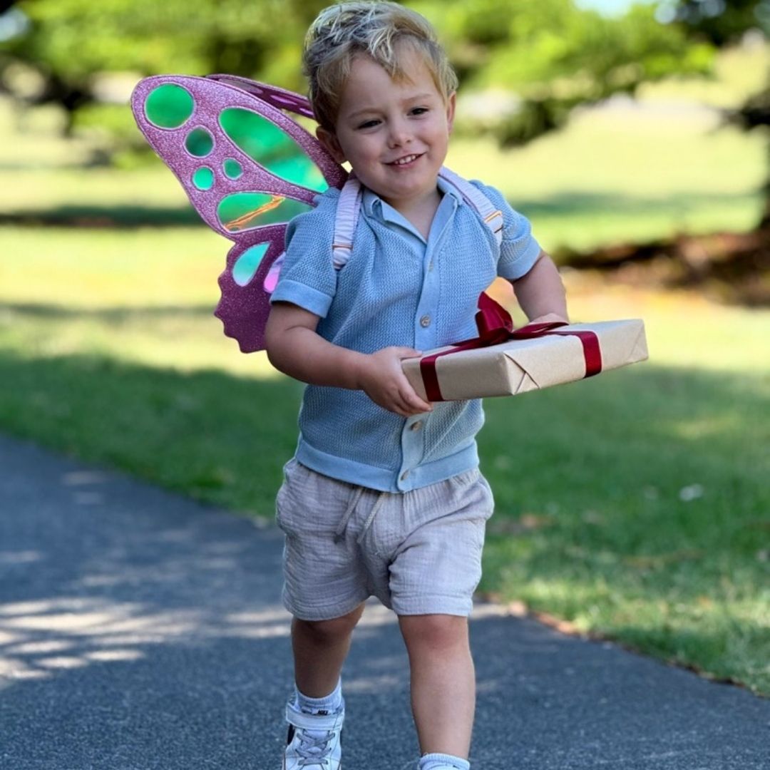 Reflections Butterfly