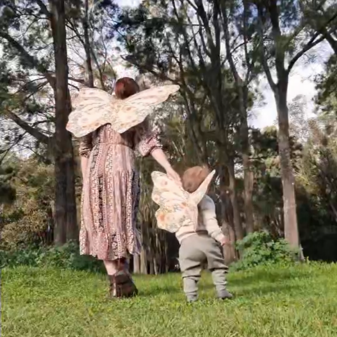 Adult Butterfly Wings