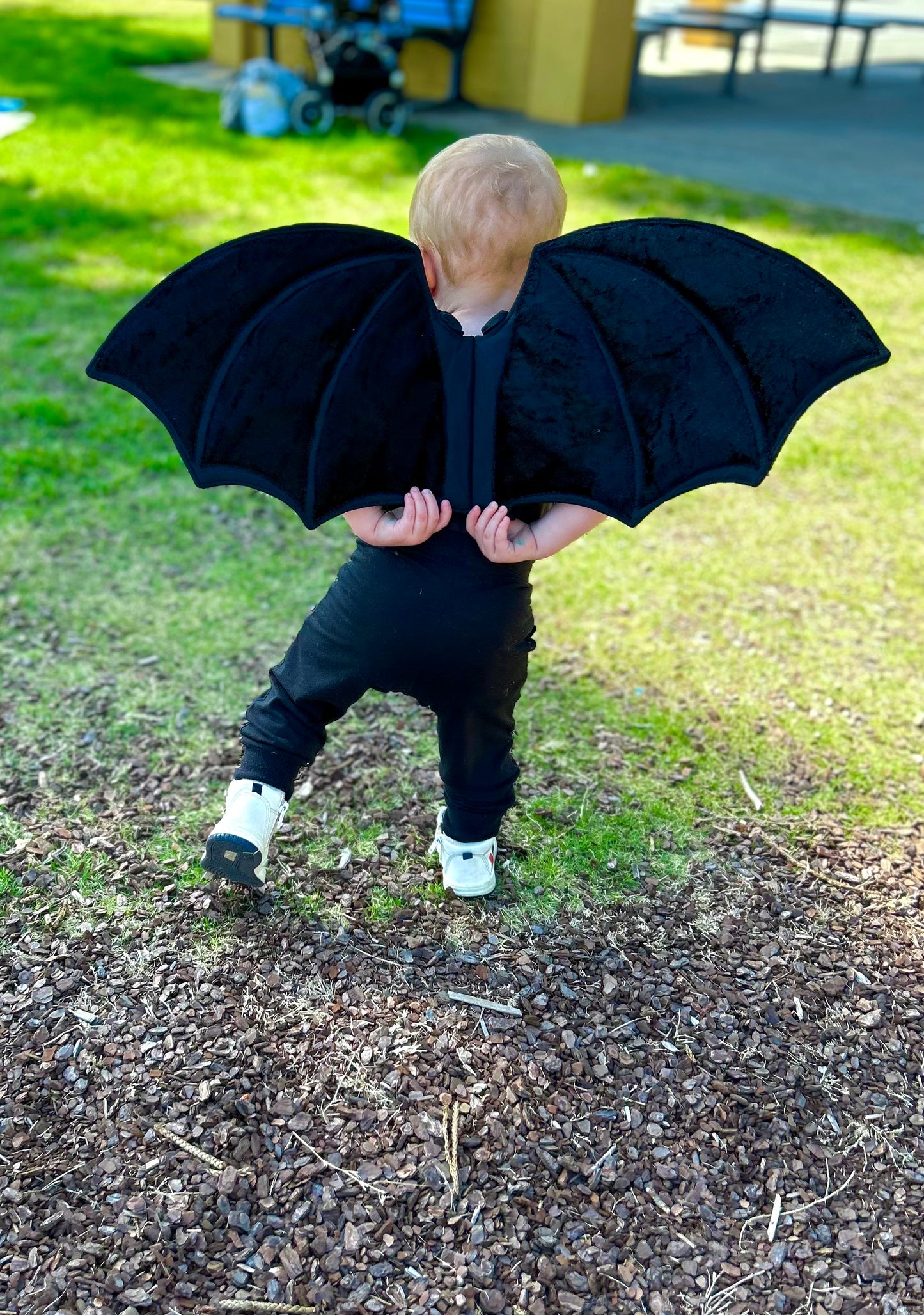 Bat Wings