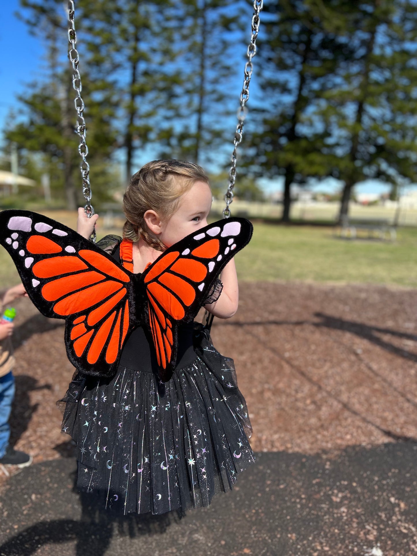 Monarch Butterfly