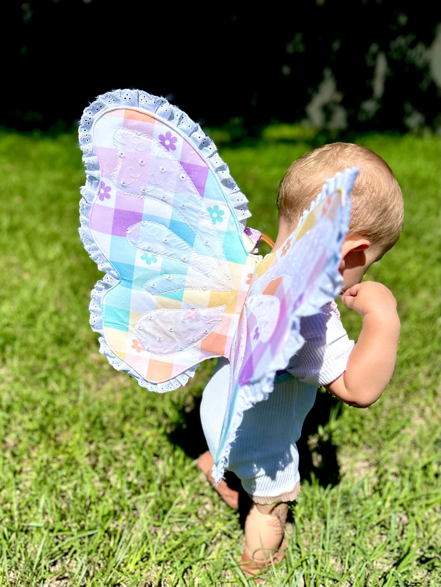 Bunny Fields Butterfly